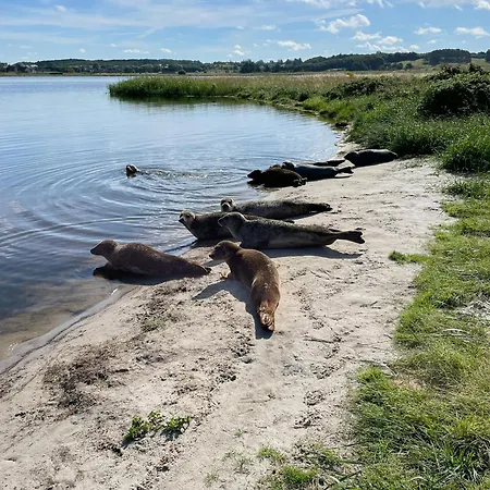 Virksund With Grounds And Hot Tub * 회예스레브