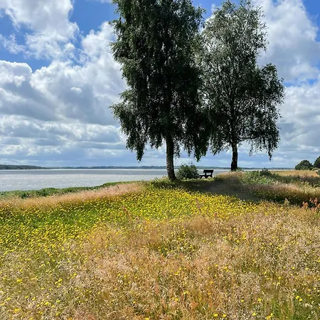 Virksund With Grounds And Hot Tub Højslev